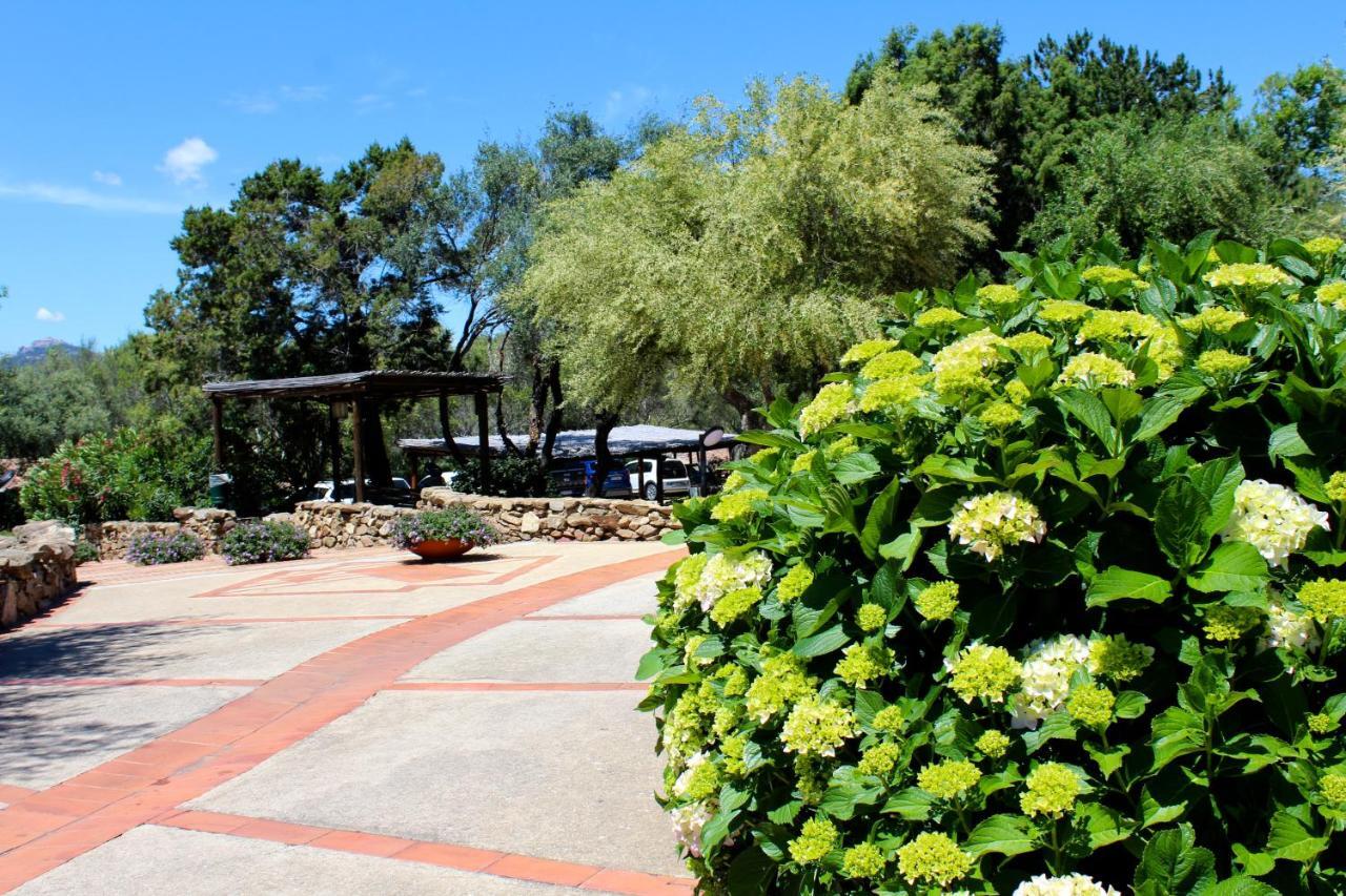 Casa Vacanze Il Cisto - Golfo Di Marinella Villa Porto Rotondo Bagian luar foto